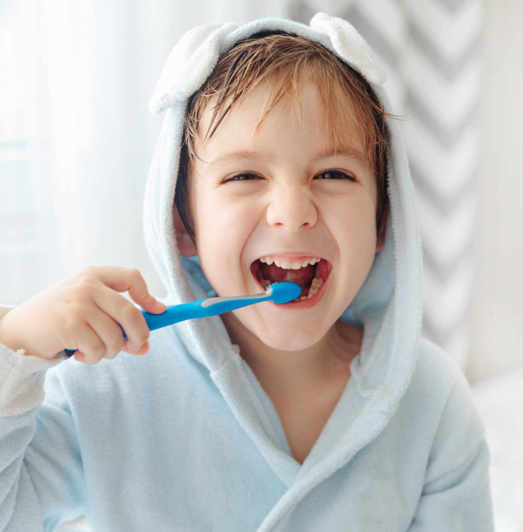 Morning routine, smiling happy child brushing teeth with toothbrush. Dental hygiene of little boy, medical care.